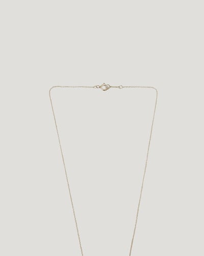 Hammered Circle Necklace