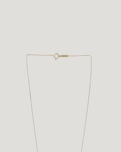 Double Drop Heart Necklace
