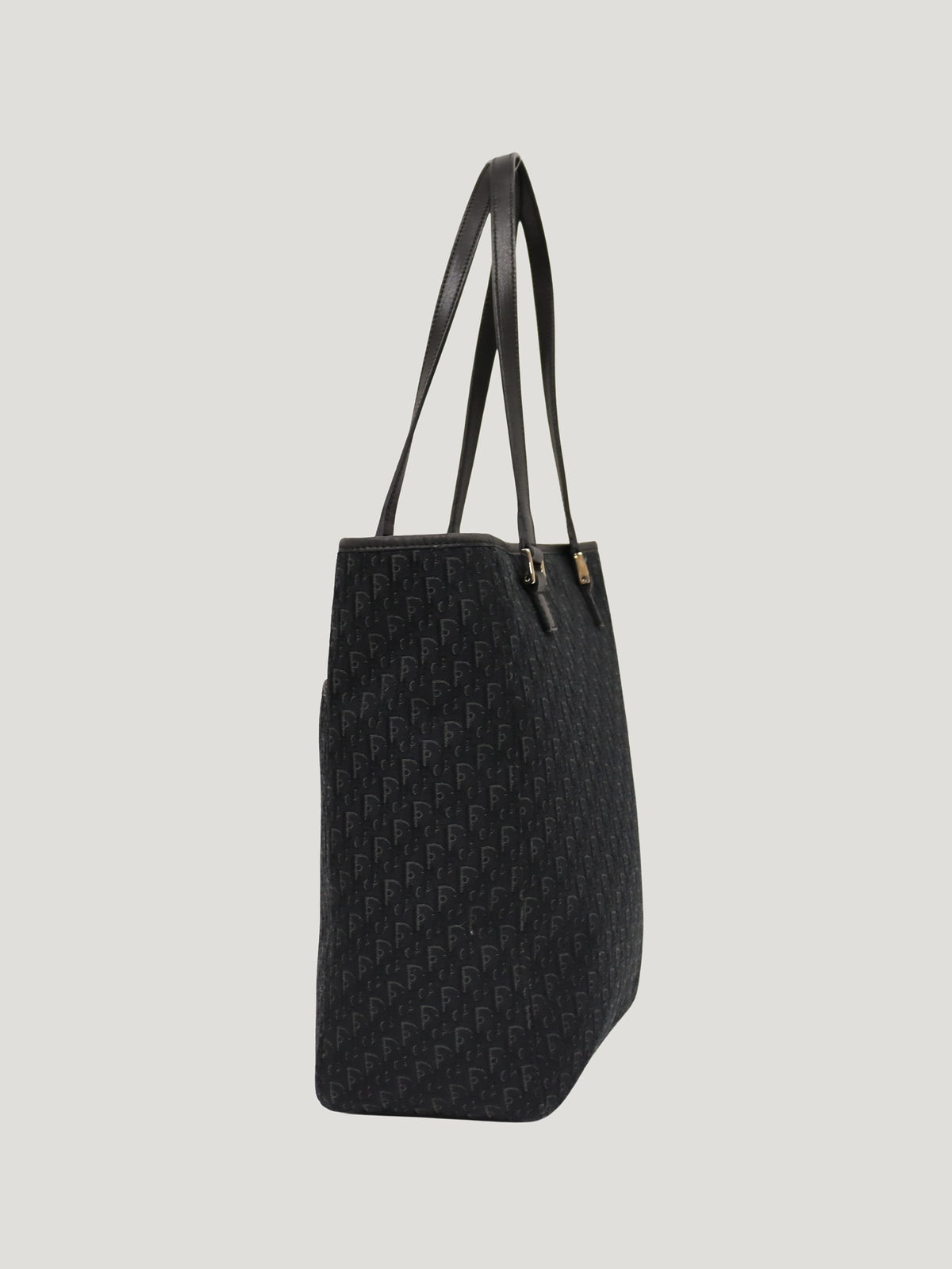 Trotter-pattern tote bag