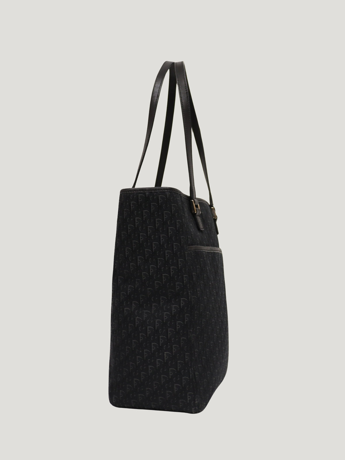 Trotter-pattern tote bag
