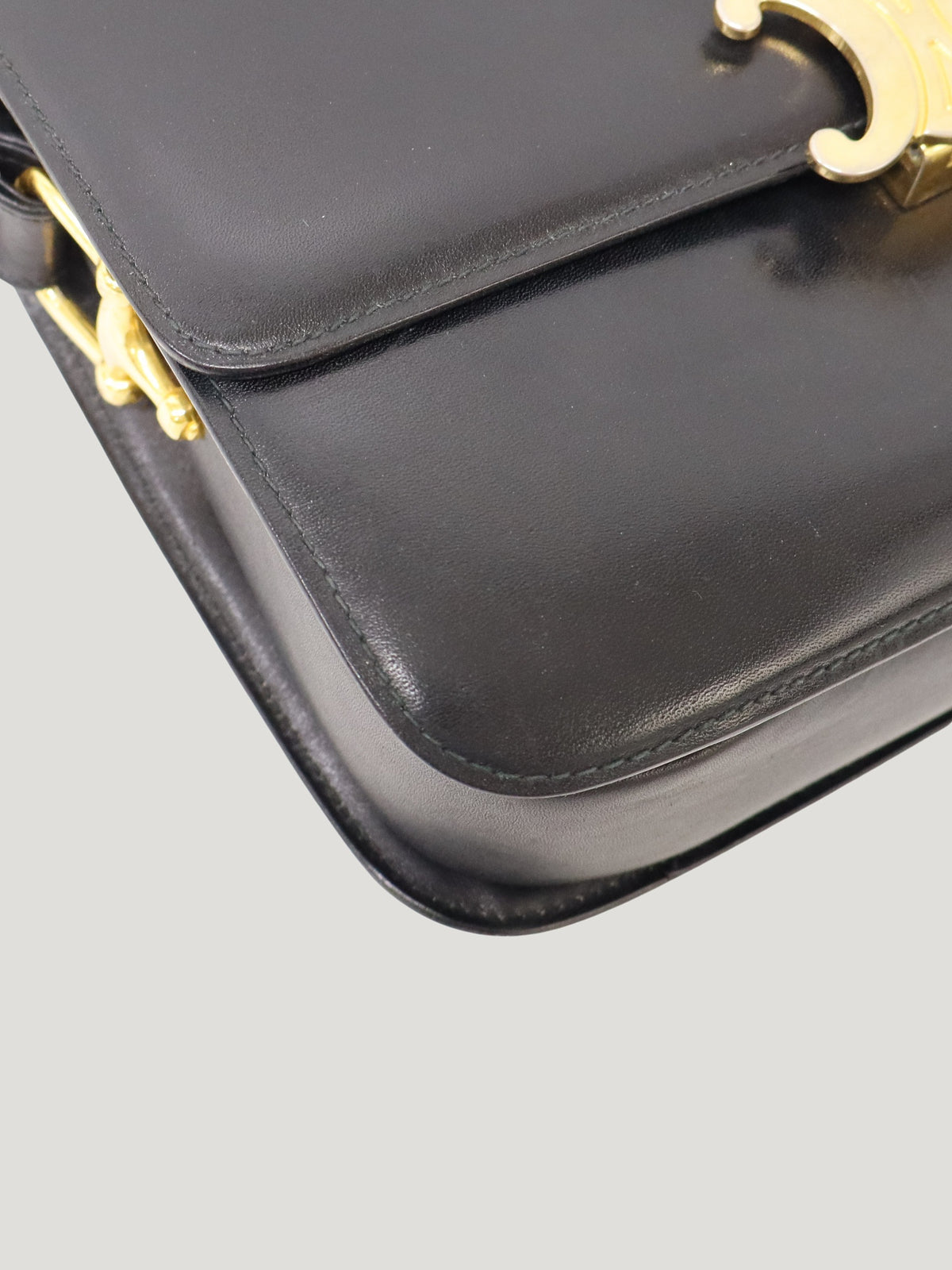 Triomphe Leather One-Shoulder Bag