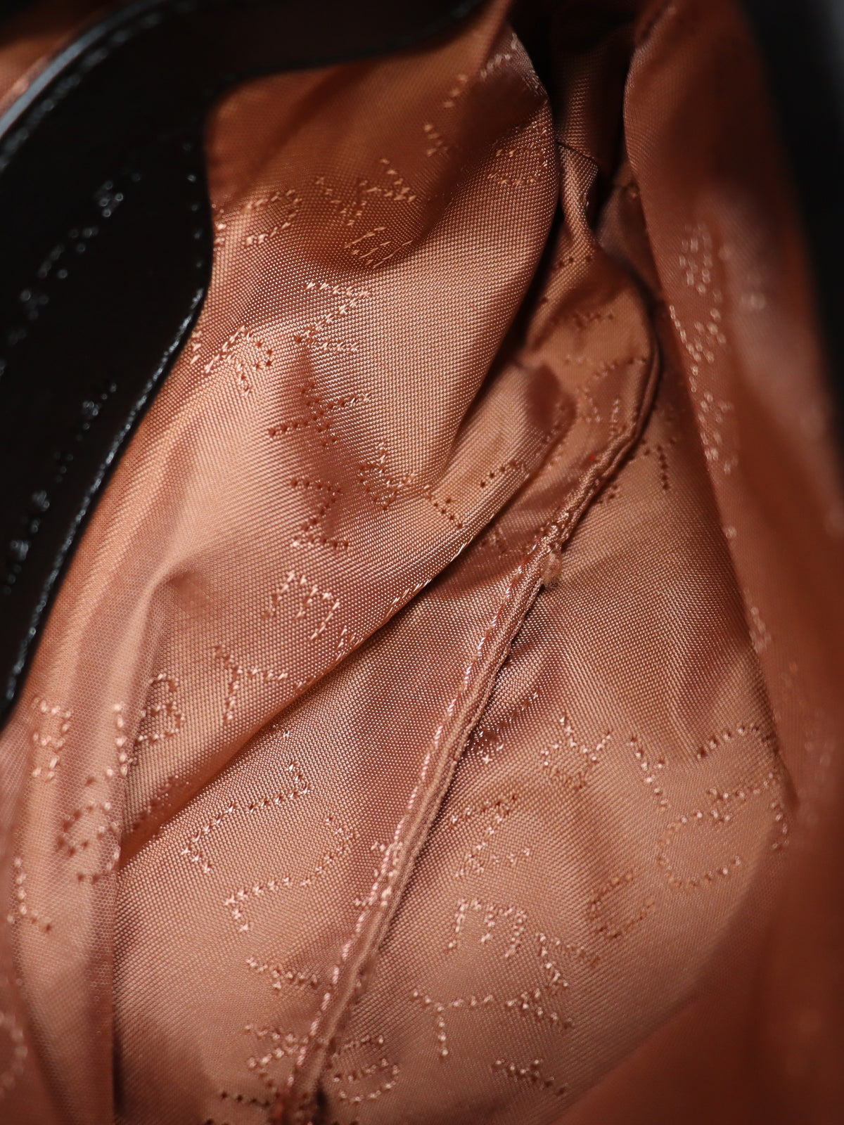 Falabella 2-Way Bag