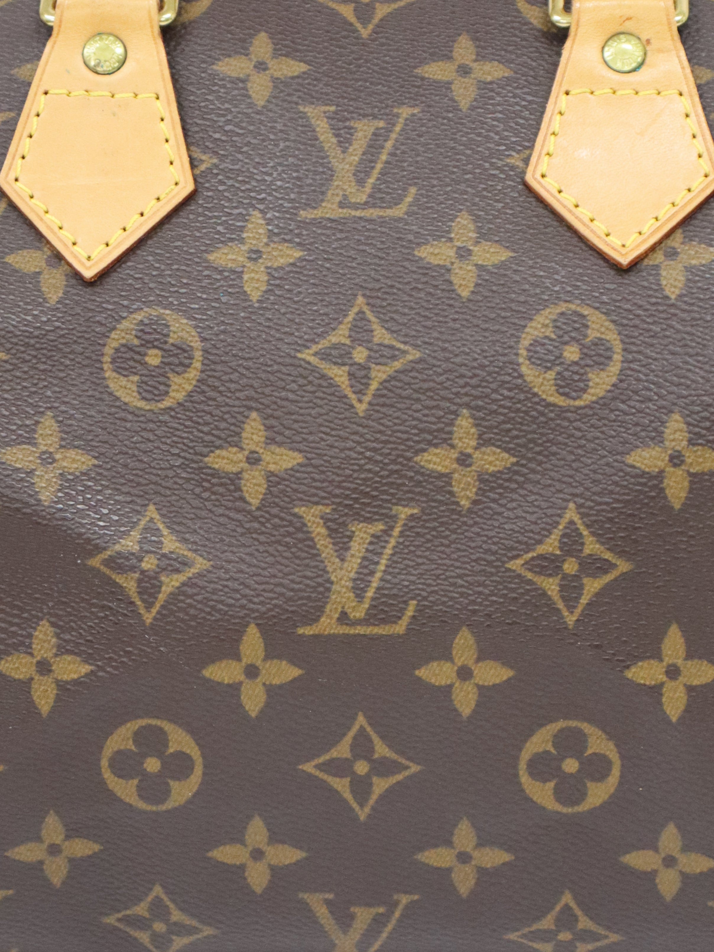 Monogram Speedy 25