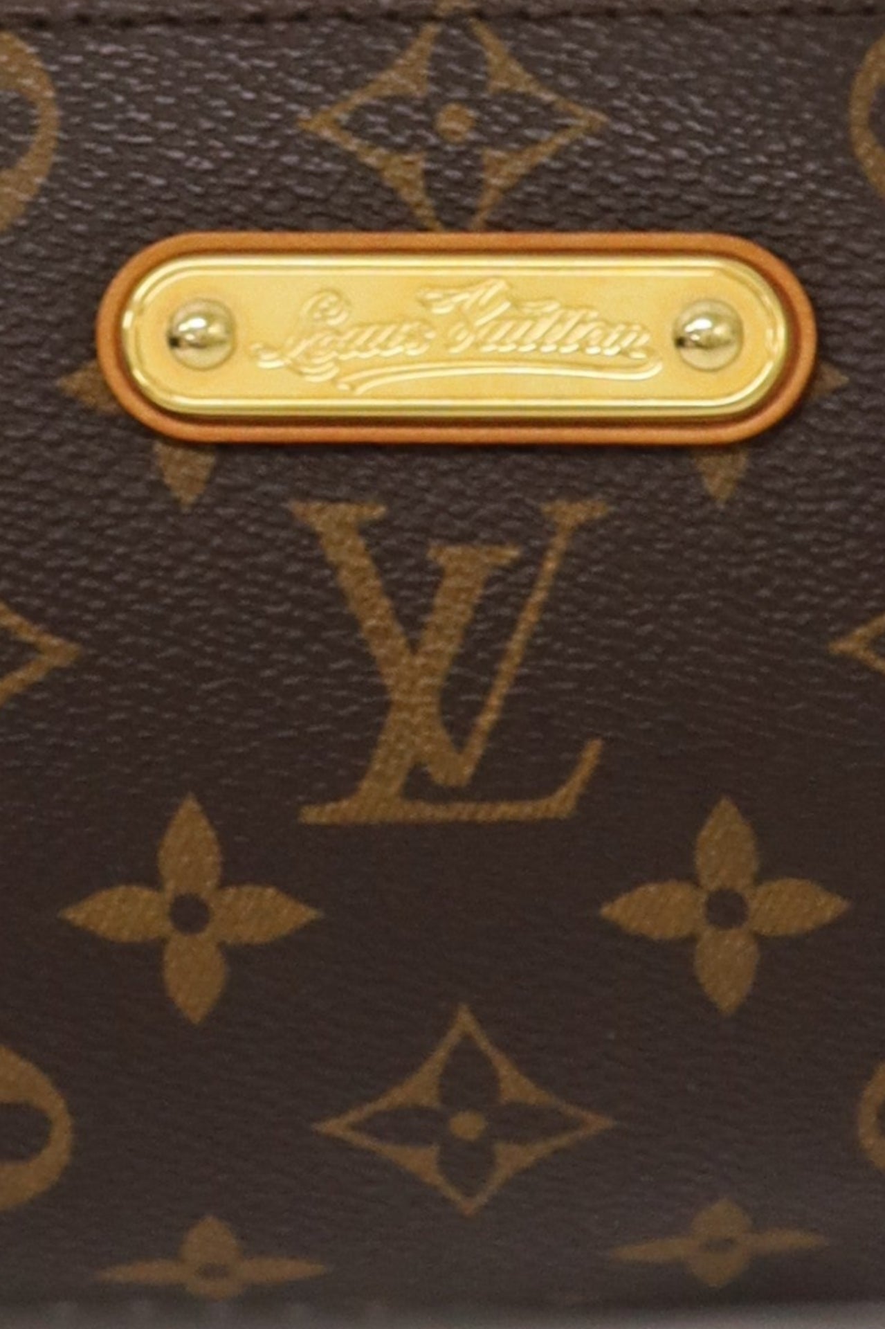 Monogram Pochette Eva