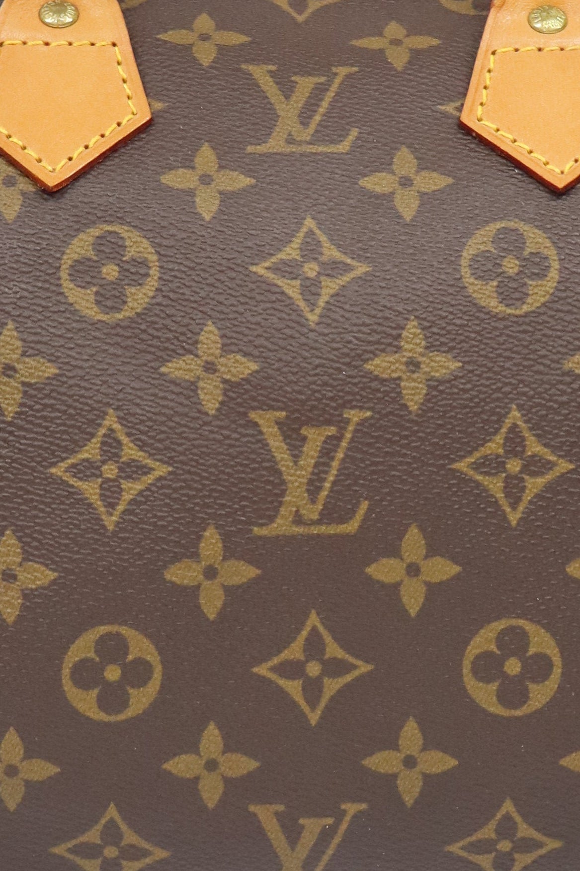 Monogram Speedy 25