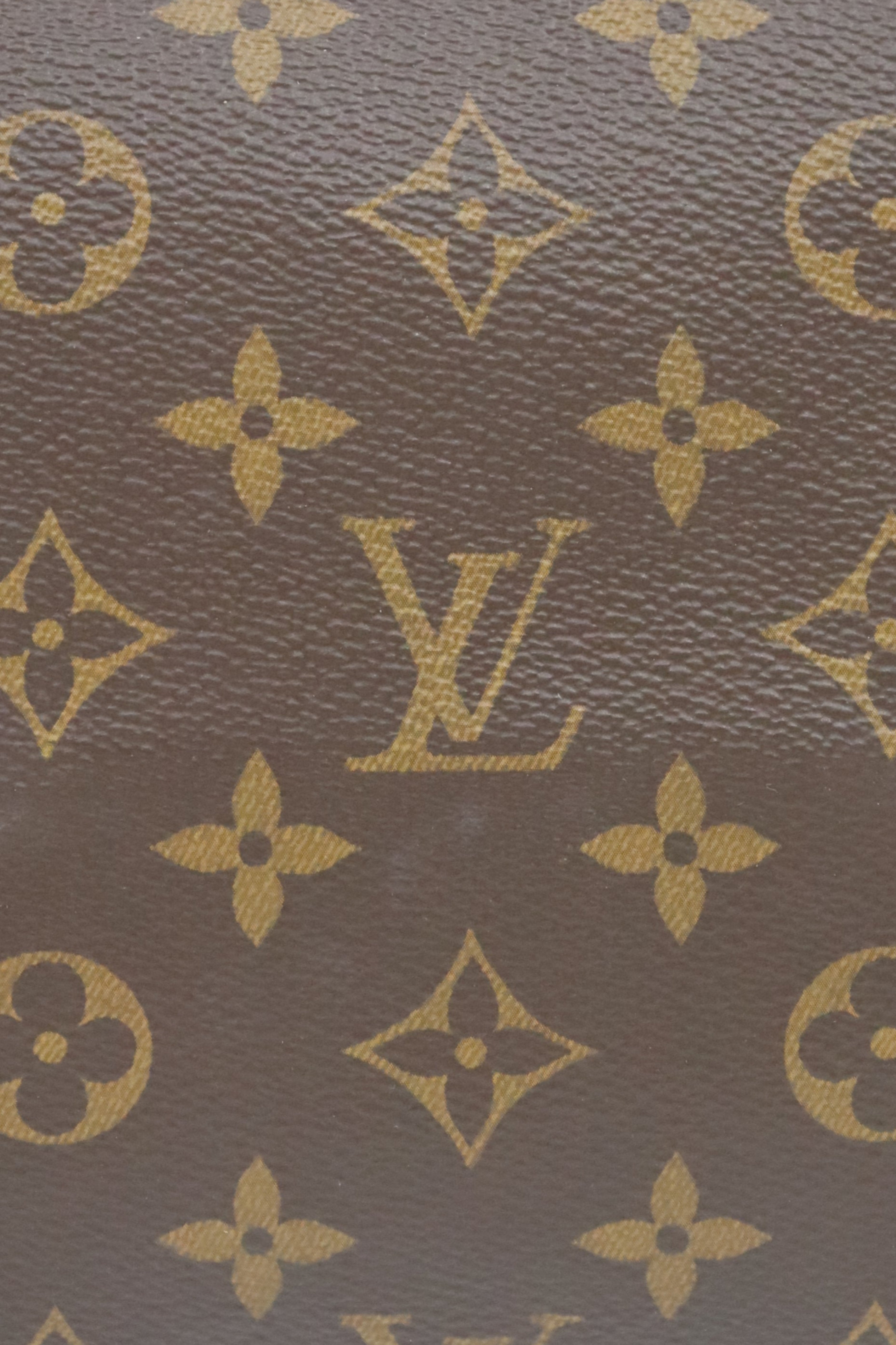 Monogram Speedy 25