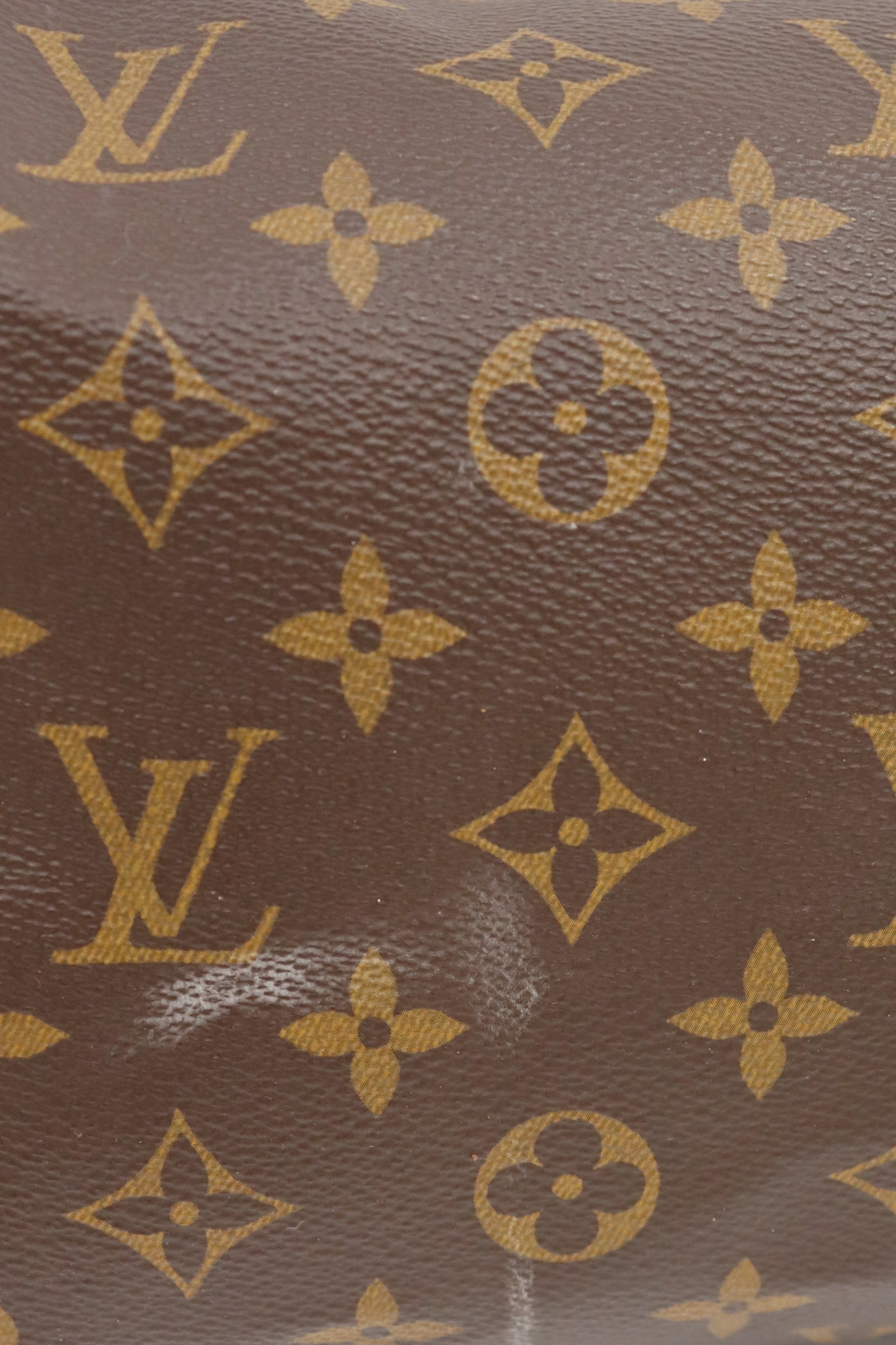 Monogram Speedy 25