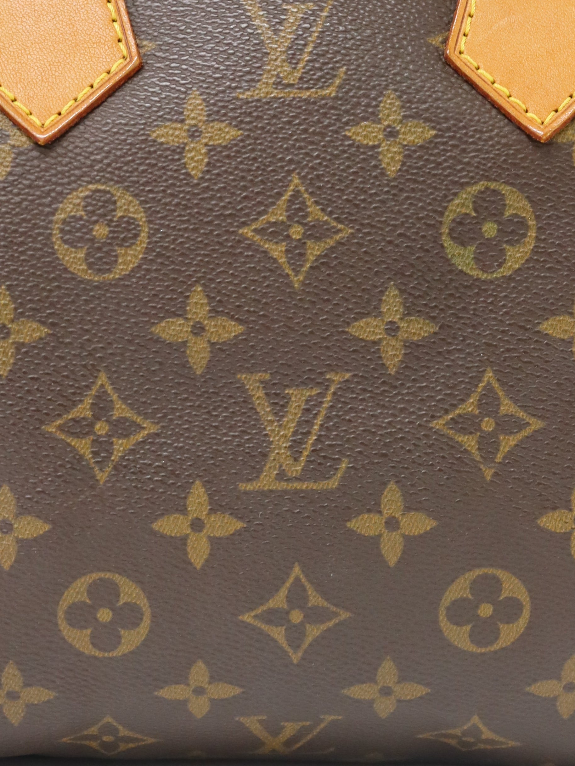 Monogram Speedy 25