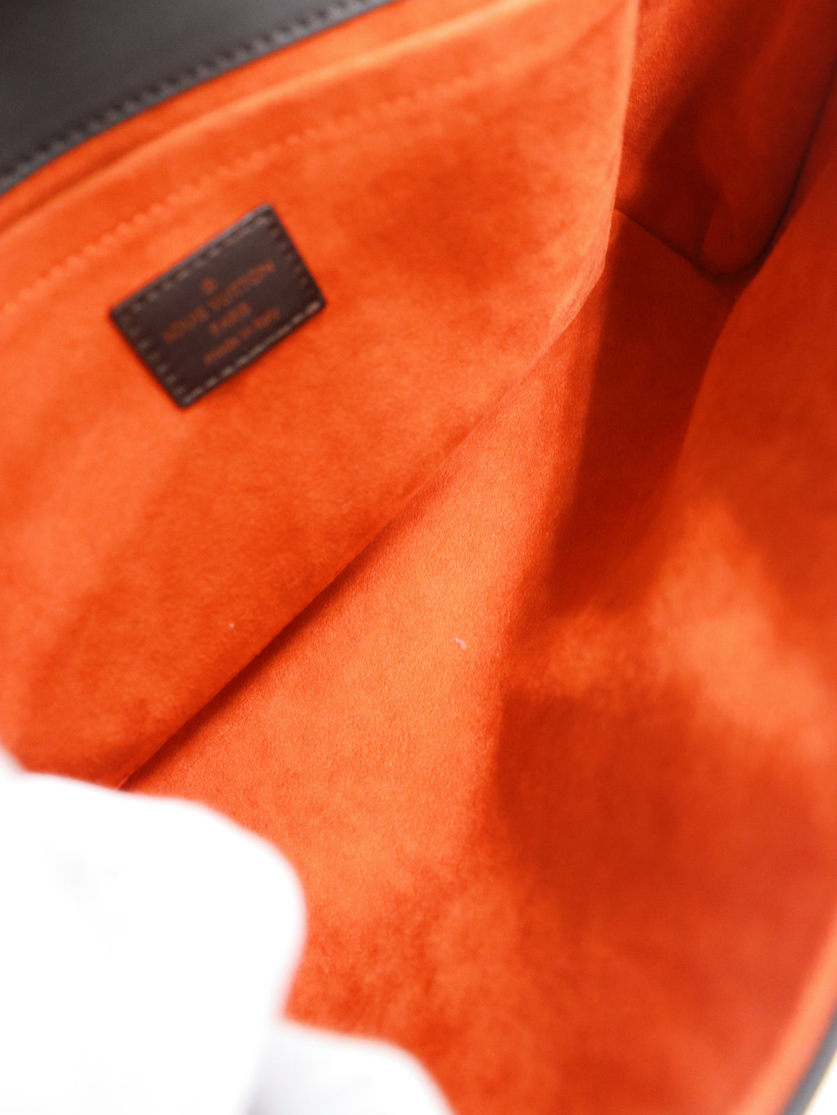 Damier Sauvage Lion