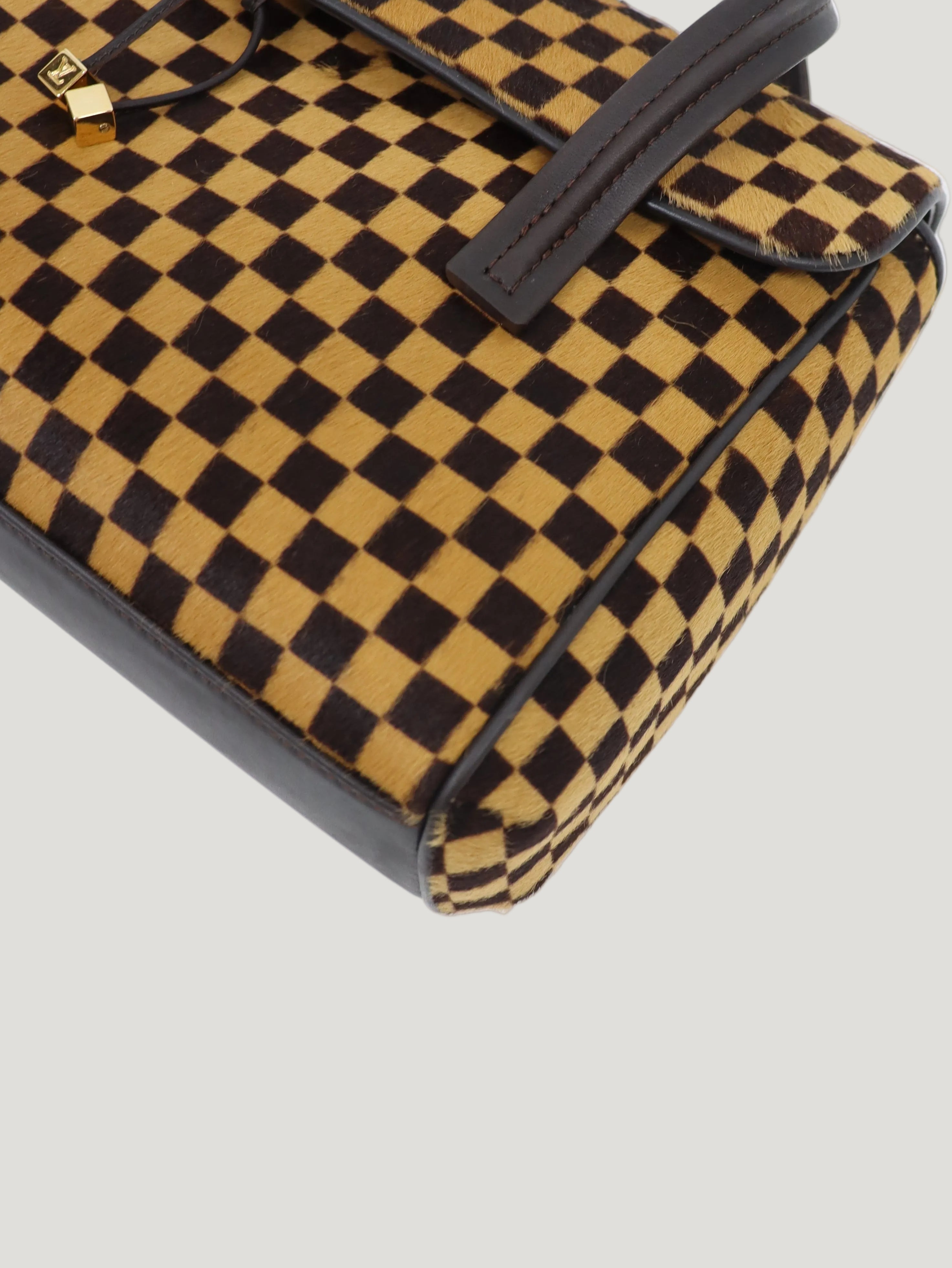 Damier Sauvage Lion