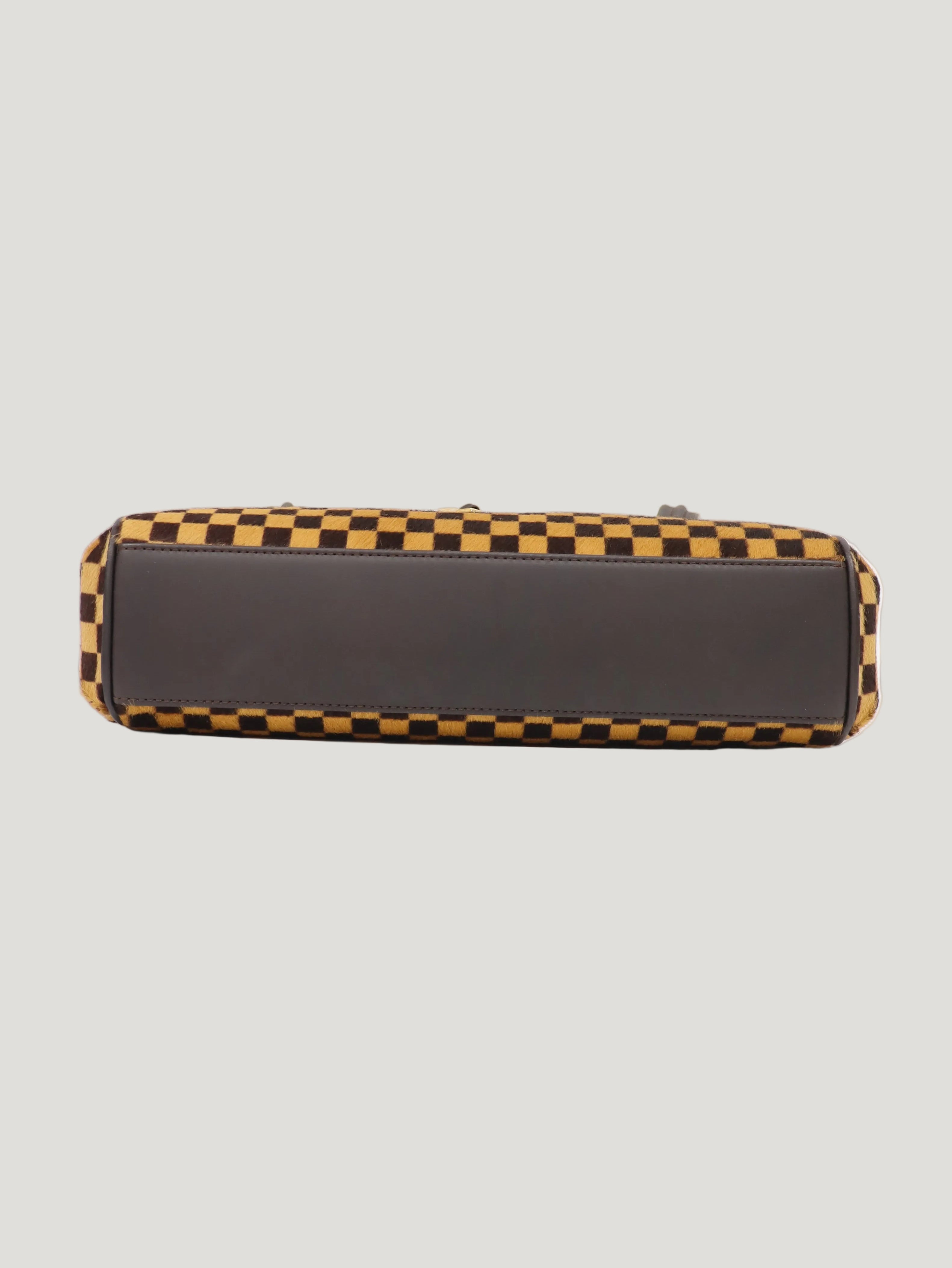 Damier Sauvage Lion