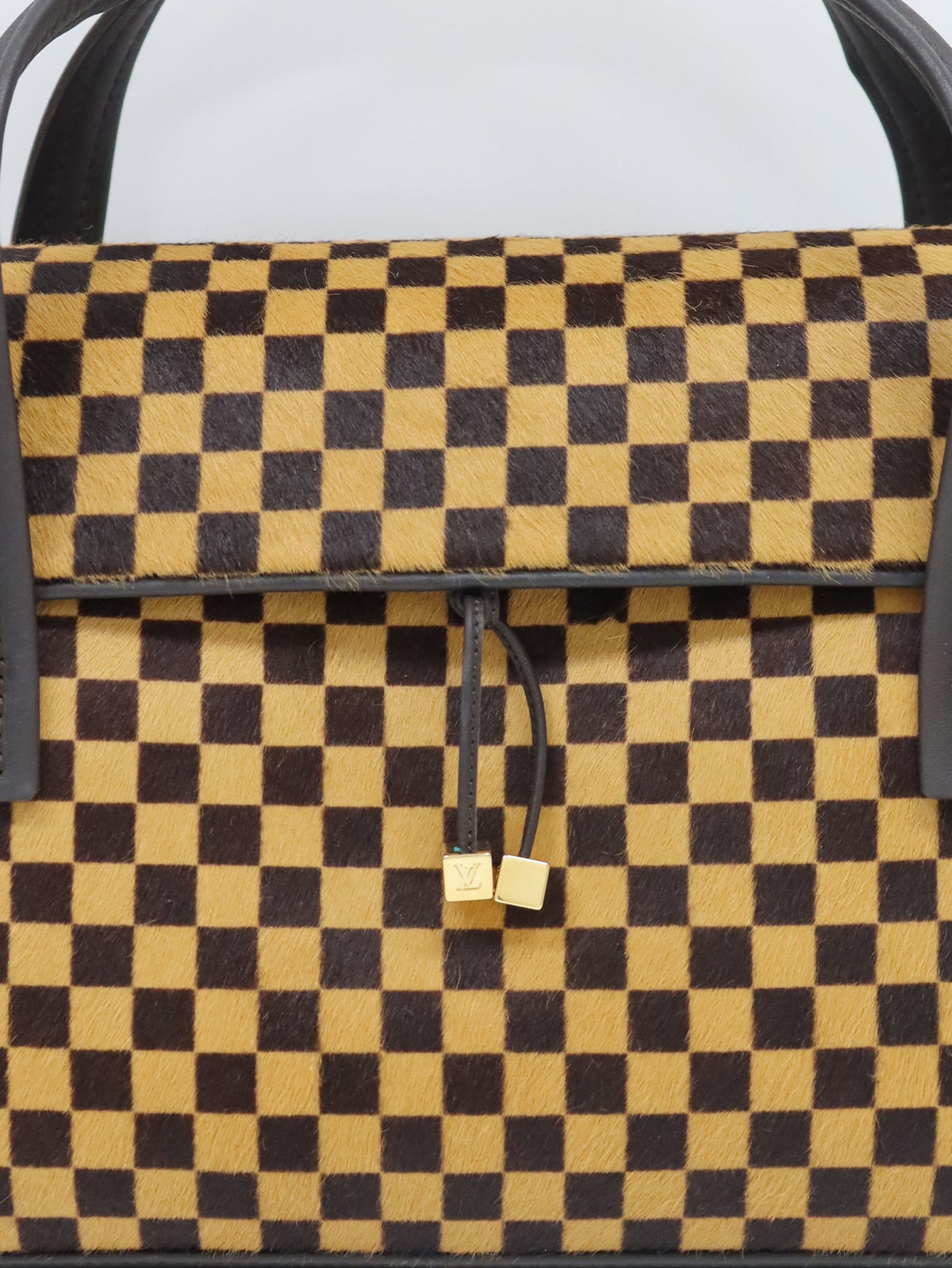 Damier Sauvage Lion