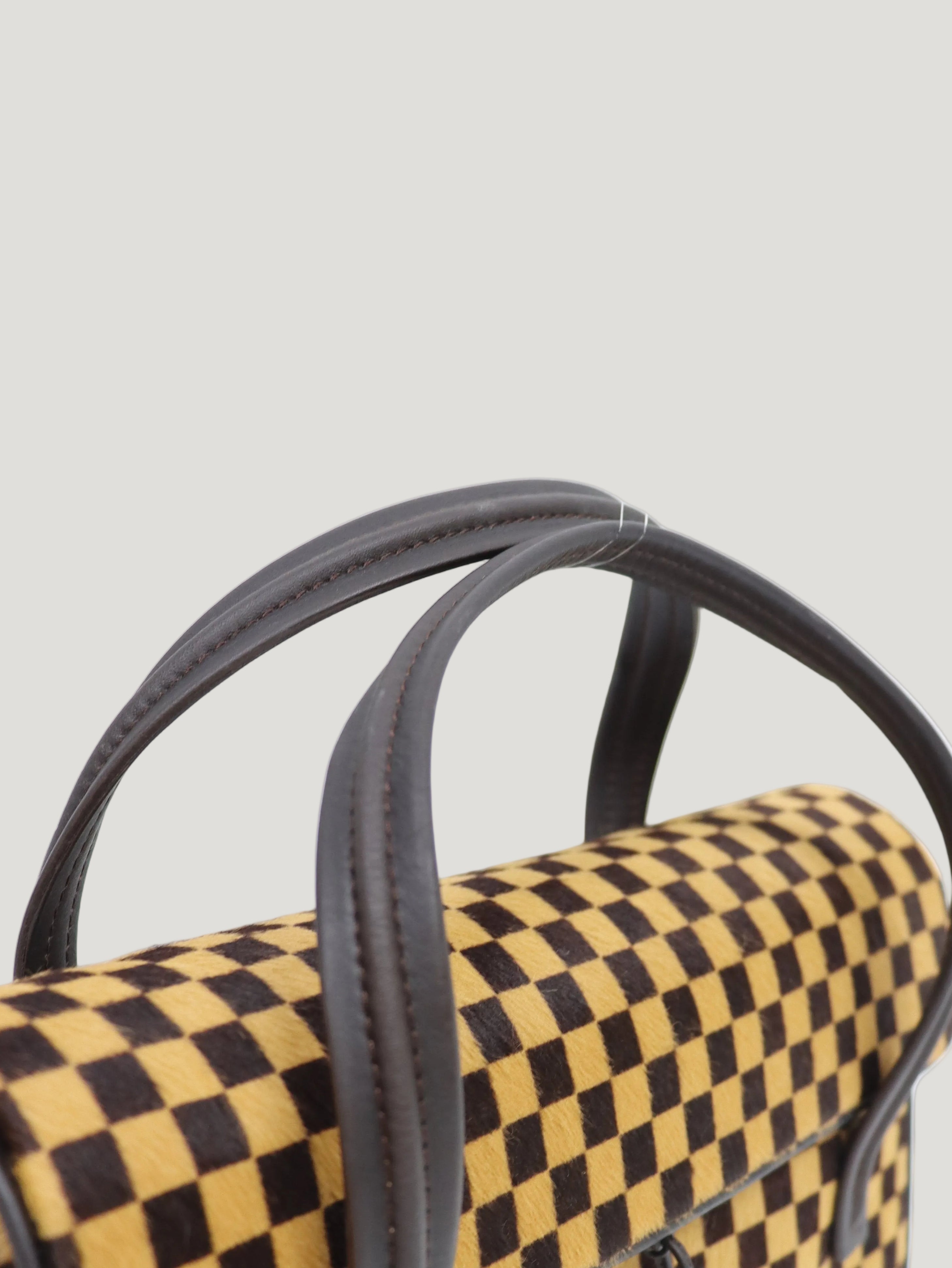 Damier Sauvage Lion