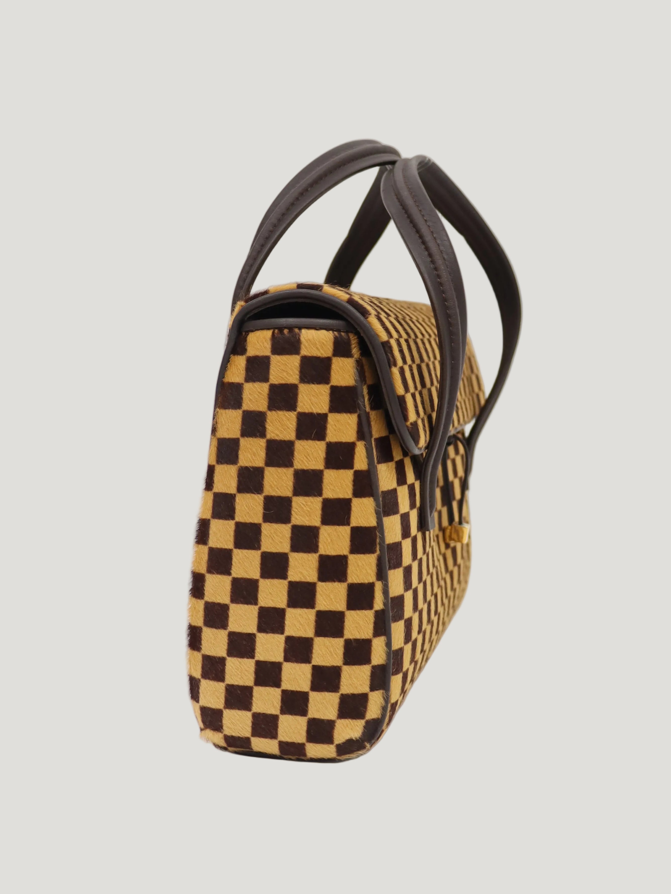 Damier Sauvage Lion