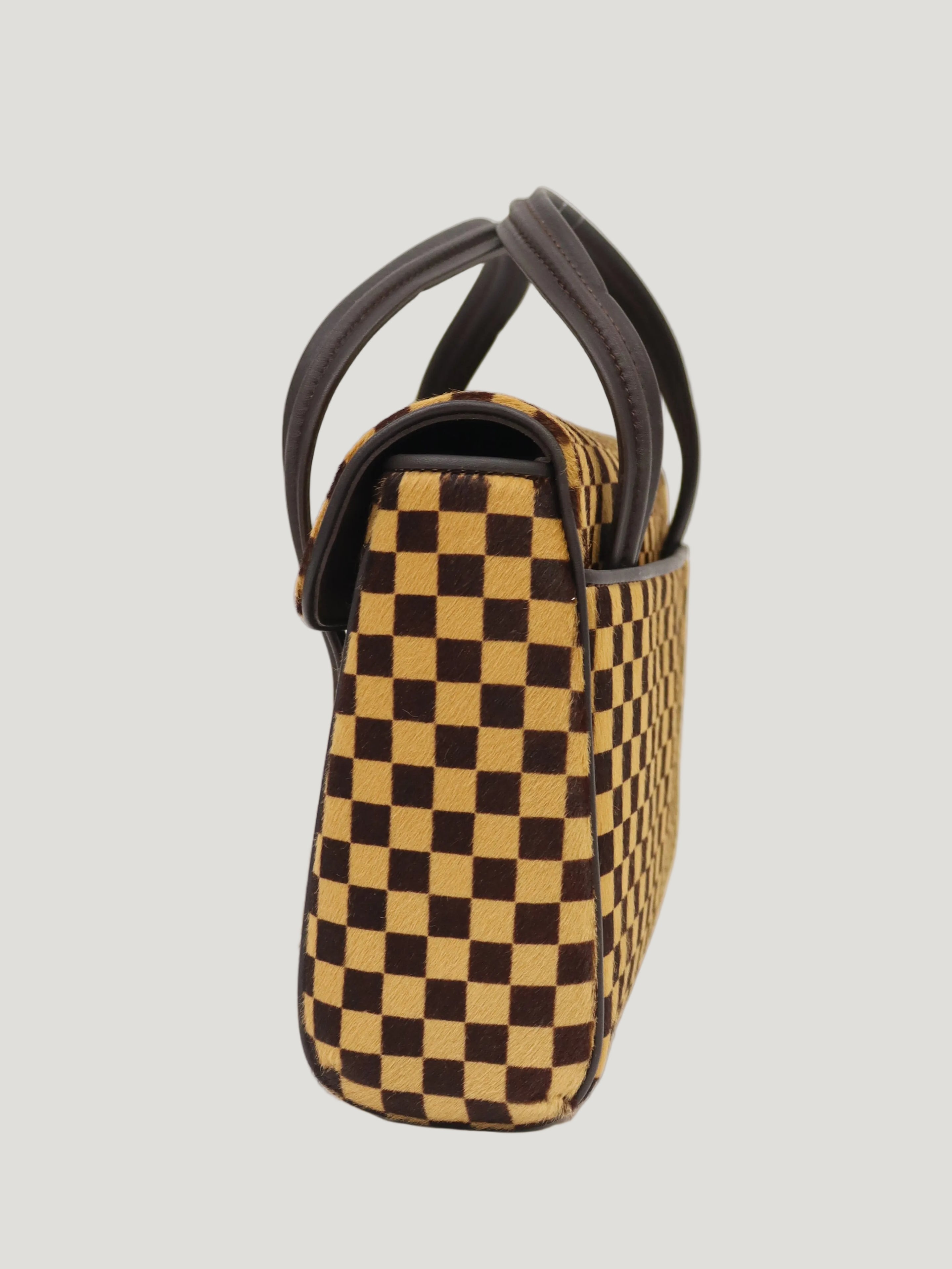 Damier Sauvage Lion