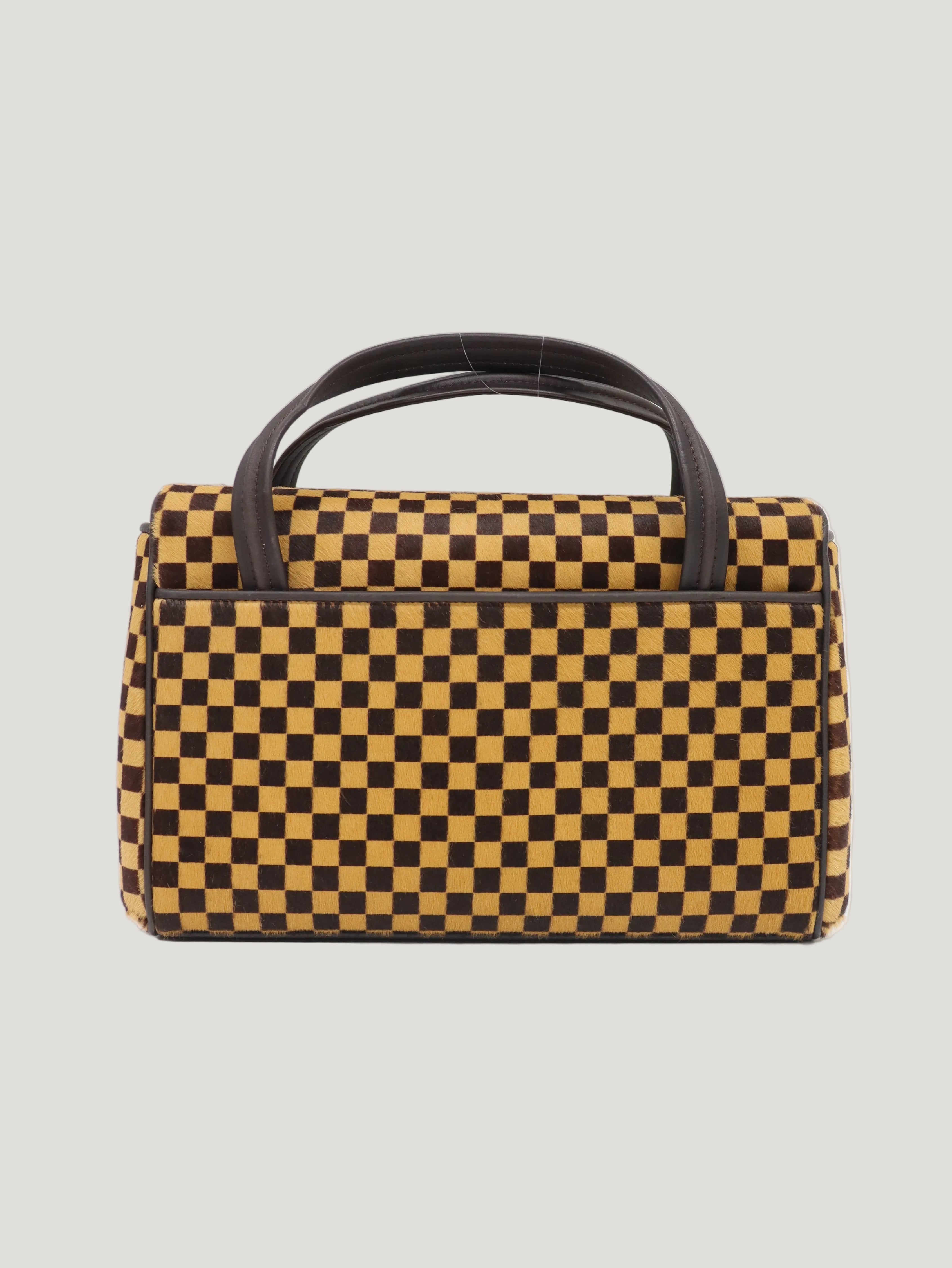 Damier Sauvage Lion